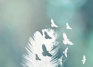 Hikmah dari COVID-19, Anne Graham Lotz : “Iman Kita akan Bertumbuh Lebih Kuat”