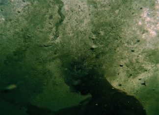 Seorang Gadis Kecil Meledakkan Diri di Taman Kota dan Menewaskan Lima Belas Orang