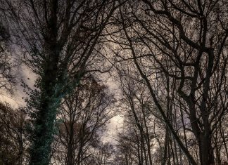 Masalah Terbesar Anda